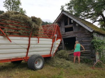 Bauernhof Leben in Egg im Bregenzerwald