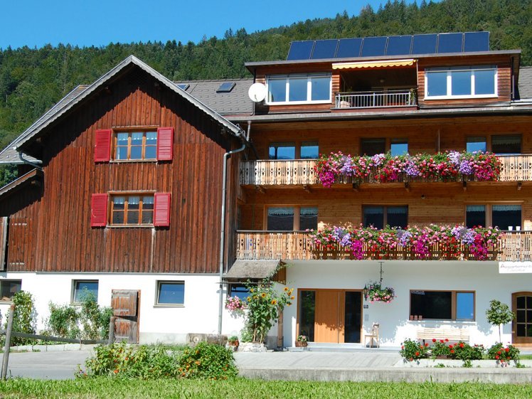 Aussenansicht im Sommer Christine Appartment in Bezau